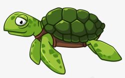 游泳的海龟游泳的海龟高清图片