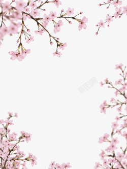 桃花枝条桃花环绕簇簇高清图片
