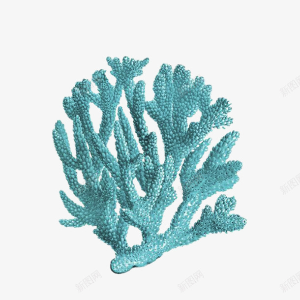 卡通手绘美丽的珊瑚png免抠素材_新图网 https://ixintu.com 创意 动漫动画 卡通 手绘 植物 美丽的珊瑚 蓝色