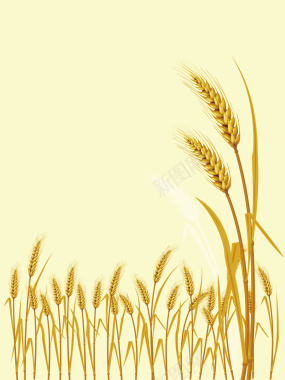 矢量小麦麦穗秋收丰收背景背景
