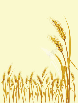 麦穗米饭大米简约养生矢量小麦麦穗秋收丰收背景高清图片