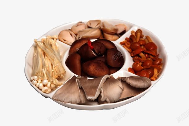 食用菌类拼盘摄影png免抠素材_新图网 https://ixintu.com 传统美食 滑蘑 菌类拼盘 蘑菇 金针菇 食用菌 食用菌类 餐饮美食 香菇 鲜菇