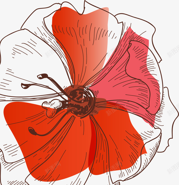 素描白色花朵png免抠素材_新图网 https://ixintu.com 文艺风 白色花朵 白色花瓣 素描花朵 红色水彩 花朵装饰
