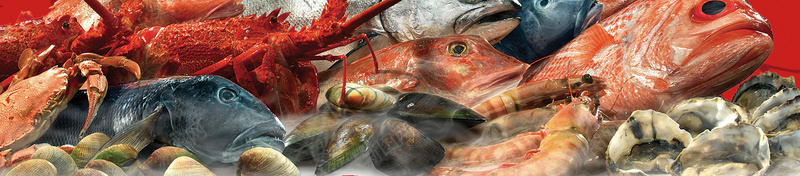 美味海鲜红色纹理jpg设计背景_新图网 https://ixintu.com 促销 市场 活动 海鲜 纹理 美味 美食 超市 超市促销 鱼虾