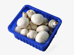 篮筐里的蘑菇素材