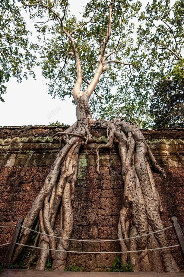 柬埔寨王国风土人情png免抠素材_新图网 https://ixintu.com 名胜古迹 图片素材 地方景点 实物图 摄影图 柬埔寨 自然景观 风景名胜 高清图片