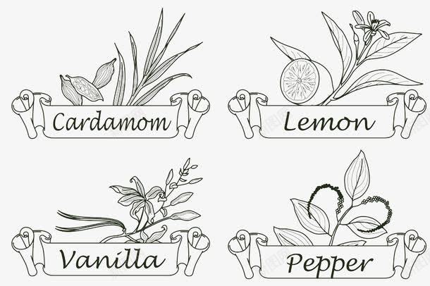 植物简笔图png免抠素材_新图网 https://ixintu.com 手绘 香料 香草