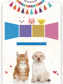 促销猫咪素材卡通可爱萌宠之家高清图片