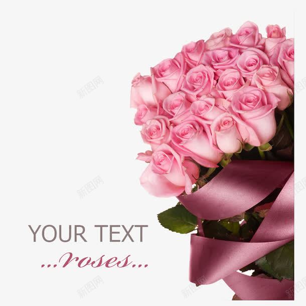 玫瑰花朵粉色装饰png免抠素材_新图网 https://ixintu.com png png素材 玫瑰 粉色 花卉 花朵