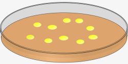 实验室培养器皿素材