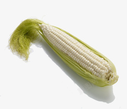 两根儿白玉米一根儿嫩白的大玉米棒高清图片