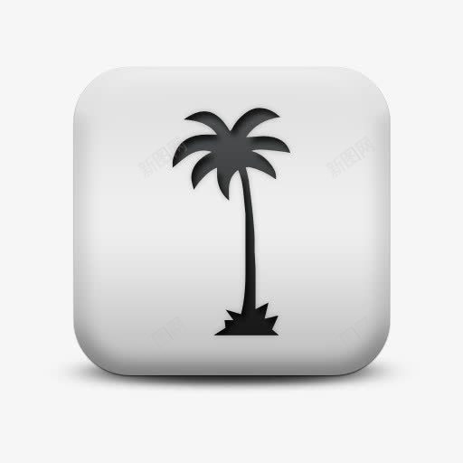 不光滑的白色的广场图标自然奇迹png_新图网 https://ixintu.com icon matte natural palm square tree white wonders 不光滑的 图标 奇迹 广场 树 棕榈 白色的 自然