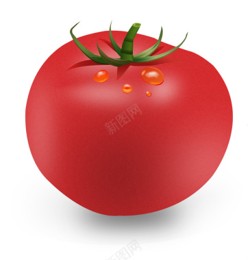 西红柿插画图标图标