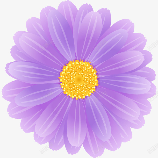 紫色太阳花png免抠素材_新图网 https://ixintu.com 太阳花 手绘 简图 紫色 花朵 花蕊 装饰 黄色