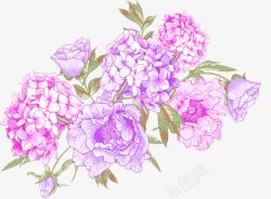 紫色迎宾浪漫花朵素材