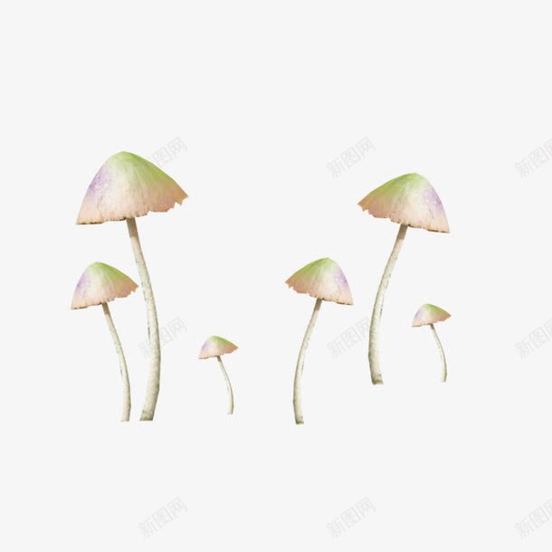 白色蘑菇png免抠素材_新图网 https://ixintu.com 卡通 梦幻 白蘑菇 蘑菇
