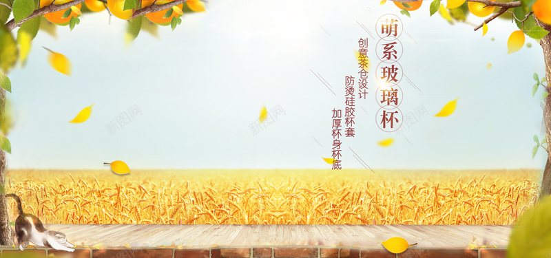 秋季稻田背景背景