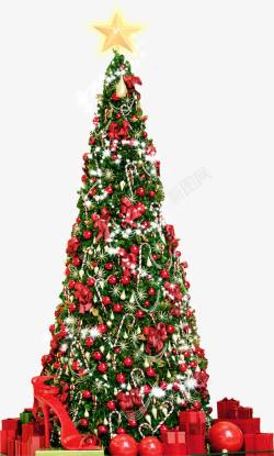 圣诞树摄影创意摄影绿色的圣诞树高清图片