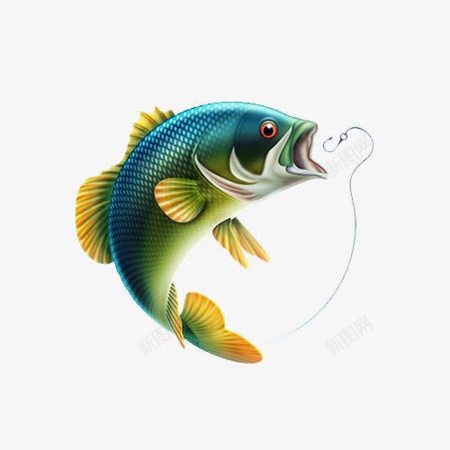 写实画风鱼类png免抠素材_新图网 https://ixintu.com 写实 水产 水里的鱼 钓鱼 鱼类