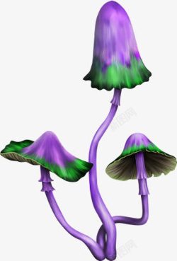 紫色毒蘑菇素材