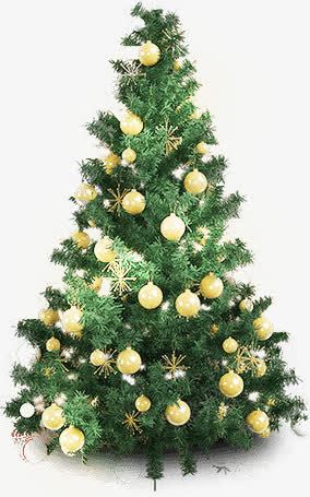 圣诞树挂满黄色球的圣诞树png免抠素材_新图网 https://ixintu.com 圣诞树 挂满 黄色