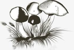 蘑菇堆手绘野生蘑菇高清图片