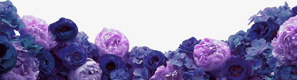 紫色清新花丛边框纹理png免抠素材_新图网 https://ixintu.com 免抠PNG 清新 紫色 花丛 边框纹理