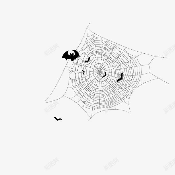 蝙蝠蜘蛛网png免抠素材_新图网 https://ixintu.com 万圣节素材 黑色蜘蛛网 黑色蝙蝠