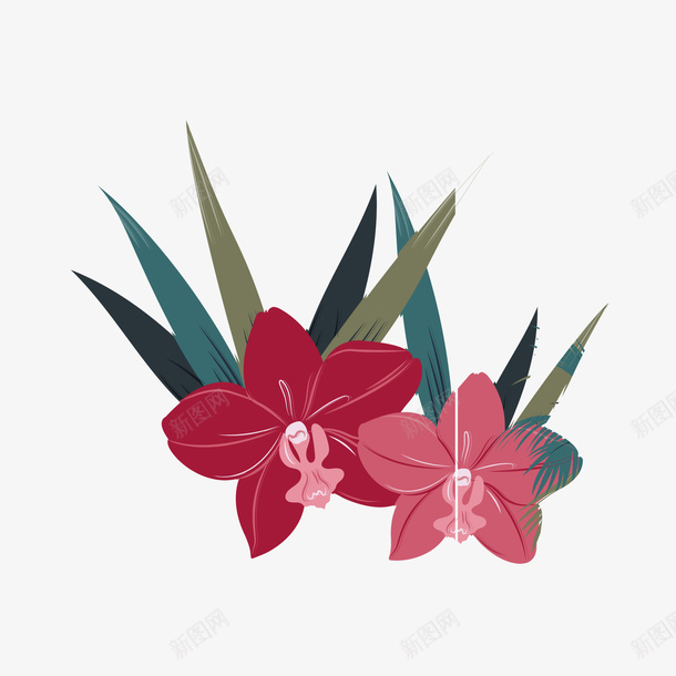 红色花卉植物png免抠素材_新图网 https://ixintu.com 卡通植物 红色花朵 背景装饰 花卉植物