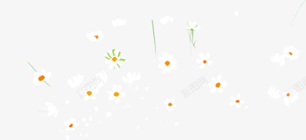 手绘清新白色小花植物png免抠素材_新图网 https://ixintu.com 植物 清新 白色