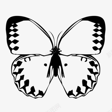 黑色花边蝴蝶图标图标