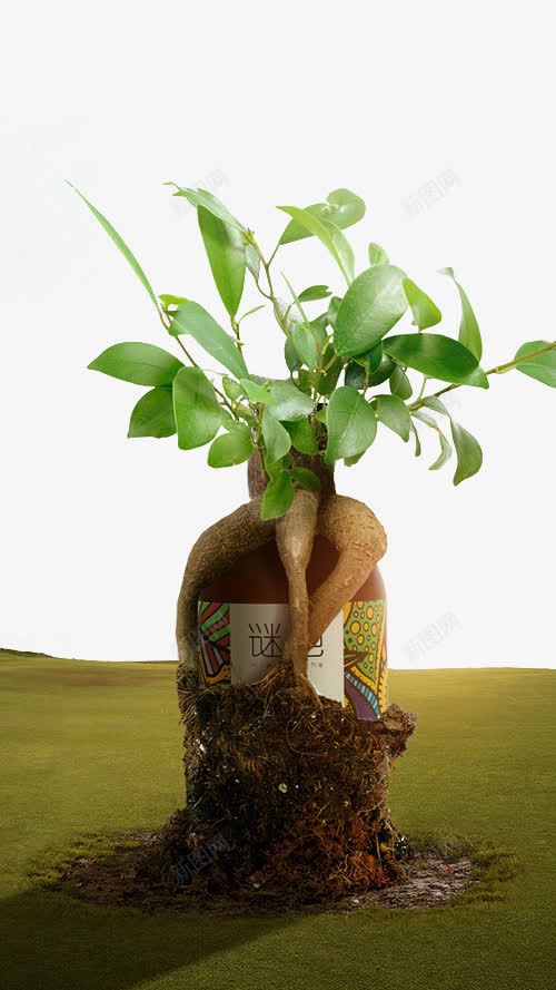 植物png免抠素材_新图网 https://ixintu.com 创意瓶子 植物种子 生根 绿色叶子 腿