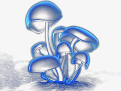 手绘蓝色的蘑菇素材