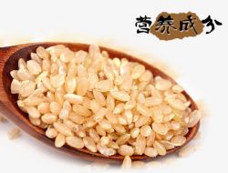 糙米糙米高清图片