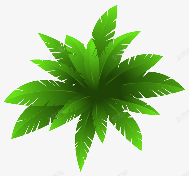 绿色热带植物元素png免抠素材_新图网 https://ixintu.com 植物 渐变 热带 环境 生长 纹理 绿色 装饰
