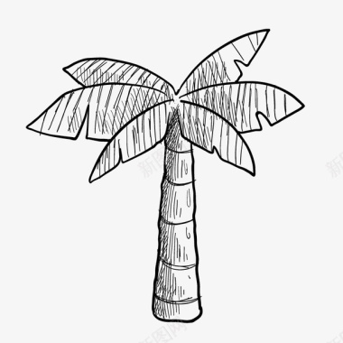 手绘的椰子树图标图标
