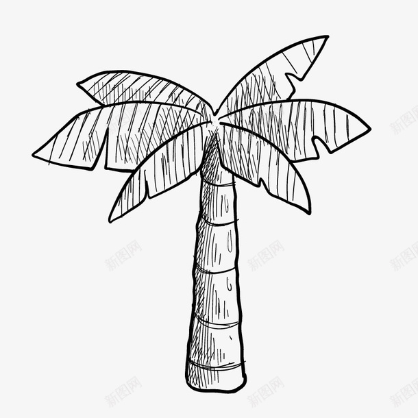 手绘的椰子树图标png_新图网 https://ixintu.com PNG素材 手绘 椰子树 线条