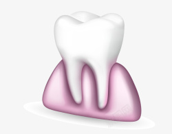 牙齿与牙龈矢量图素材