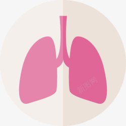 解剖学肺图标高清图片