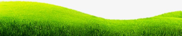 手绘合成绿色的大草原png免抠素材_新图网 https://ixintu.com 合成 绿色 草原