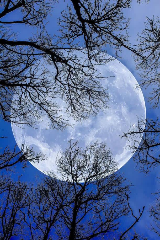 月光景观风景壁纸jpg设计背景_新图网 https://ixintu.com 壁纸 景观 月光 风景