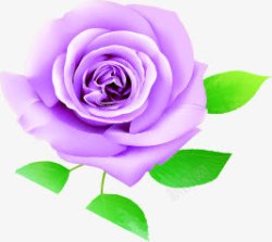 手绘紫色玫瑰花朵装饰素材