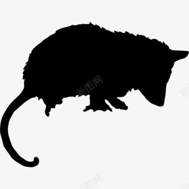 负鼠动物剪影图标图标