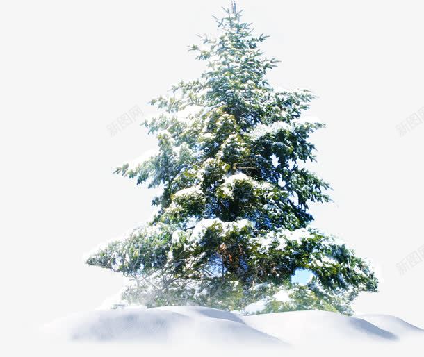 创意海报合成绿色的圣诞树png免抠素材_新图网 https://ixintu.com 创意 合成 圣诞树 海报 绿色 设计