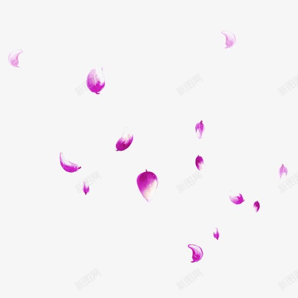 紫色的花瓣png免抠素材_新图网 https://ixintu.com 紫色花瓣 花瓣 飘落的花瓣