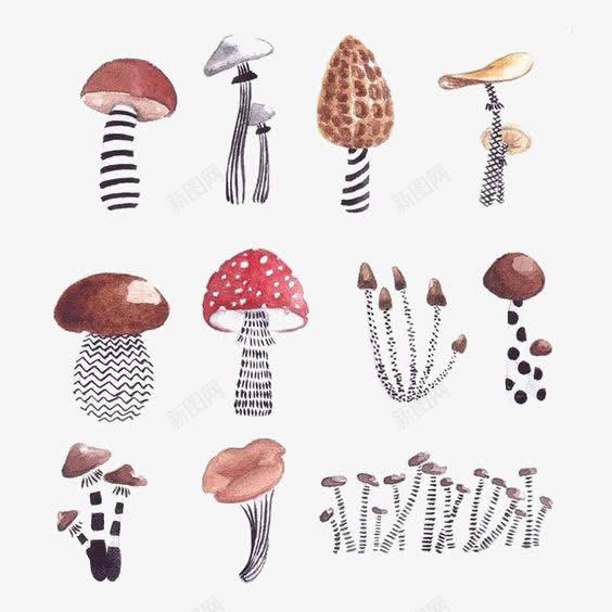 卡通蘑菇png免抠素材_新图网 https://ixintu.com 小蘑菇 手绘蘑菇 毒蘑菇 红蘑菇 蘑菇插画