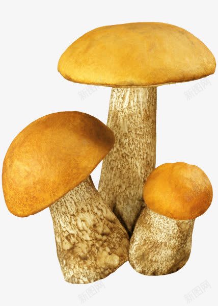蘑菇绿色植物蘑菇图标png_新图网 https://ixintu.com 图标 植物 绿色 蘑菇