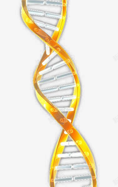 基因png免抠素材_新图网 https://ixintu.com 健康 医疗 基因 基因链 治疗 药品