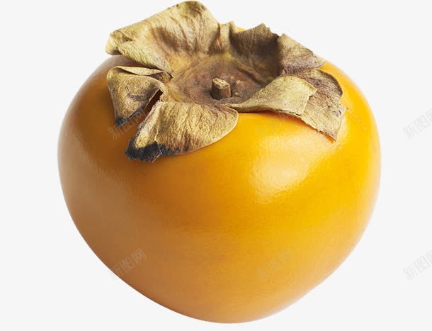 一个柿子png免抠素材_新图网 https://ixintu.com 柿 水果 甜的 美味 黄柿 黄色