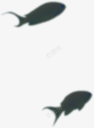 鱼的影子png免抠素材_新图网 https://ixintu.com 小鱼 鱼的影子 鱼类